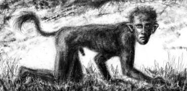 1000 Fichier 2 04 16 22 03 04