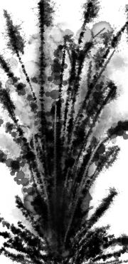1000 Herbes