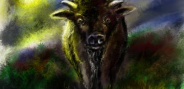 1000 bison