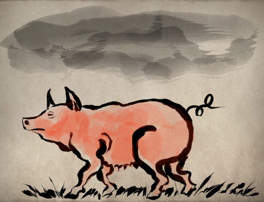 1000 Cochon
