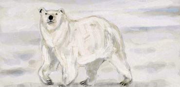 1000 ouds polaire couleurs