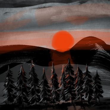 1000 Sapins   soleil