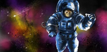 1000 Koala   Esquisse 1 copie