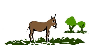 1000 Oies   Dessin 12