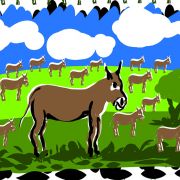 1000 Oies   Dessin 1 13