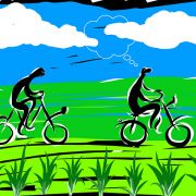 1000 Oies   Dessin 1 4