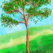 1000 Premiers jets   esquisse 4