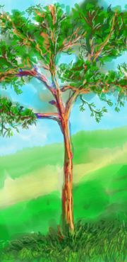 1000 Premiers jets   esquisse 4