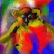 1000 Projet   esquisse 1   copie