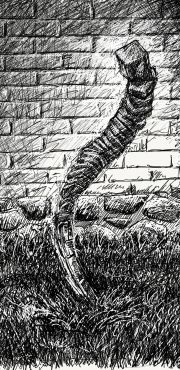 1000 Projet   esquisse 1   copie 9