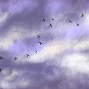 1000 Projet   Esquisse 1 4 1