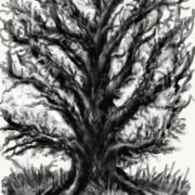 1000 Projet   esquisse 1 2