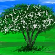 1000 Projet   esquisse 1 7 copy