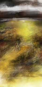 1000 Projet   esquisse 2