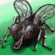 1000 Projet   esquisse 3 copy2