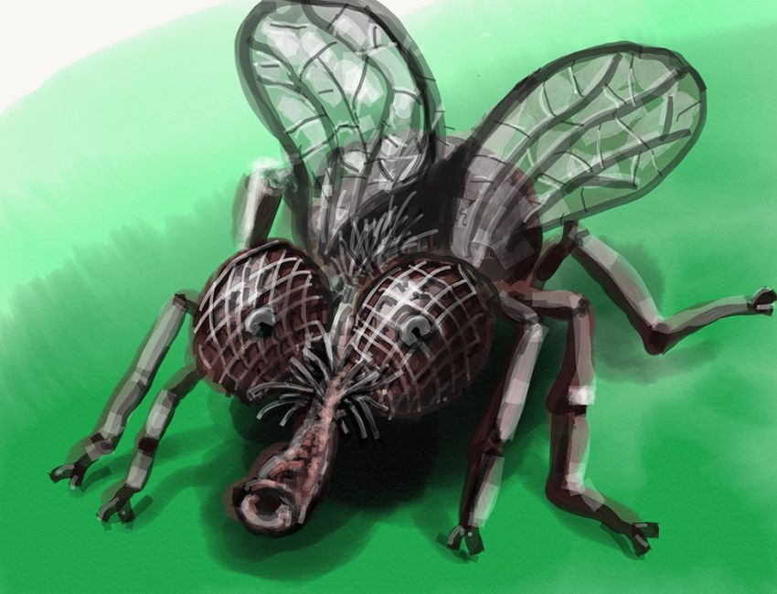 1000 Projet   esquisse 3 copy2