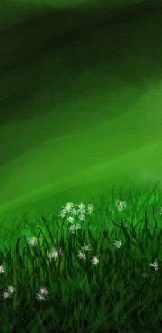 1000 Projet   esquisse 4 2