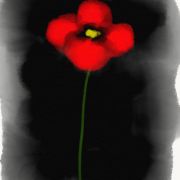 1000 Projete     esquisse 1