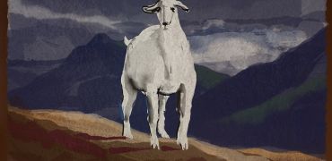 3 5