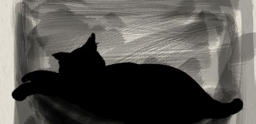 1000 Chat dort