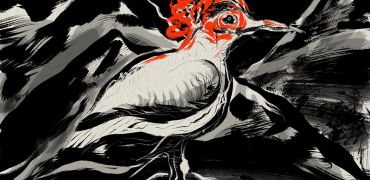 1000 Oiseau