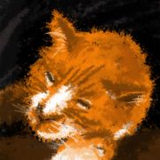 1000 Chat pre  s du feu