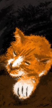 1000 Chat pre  s du feu