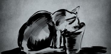 1000 Chat qui boit le the  