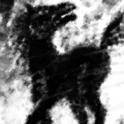 1000 Cheval de course