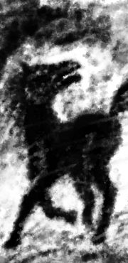 1000 Cheval de course